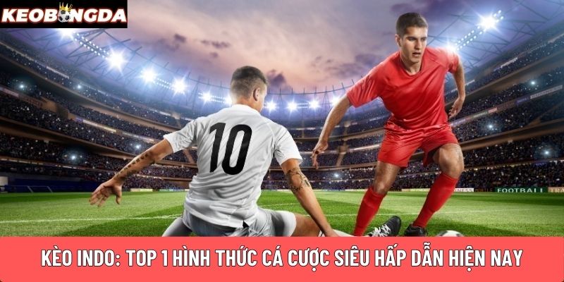 Kèo indo